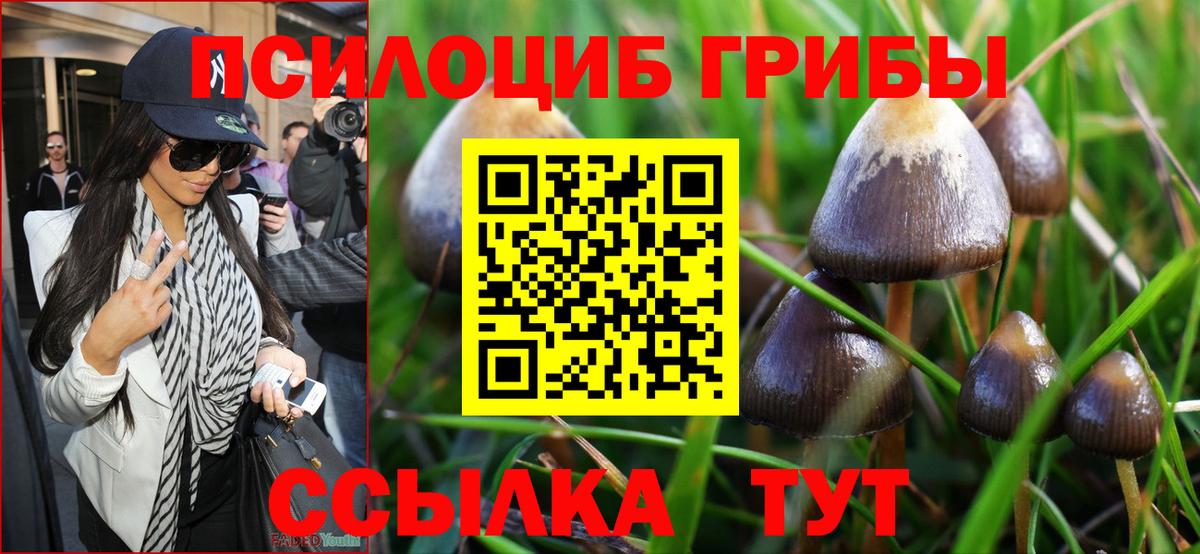 Брянск  Псилоцибиновые грибы Magic Shrooms  Вход с VPN 